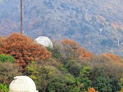 -紫金山天文台