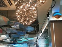 -探窝·竹笙椰子鸡(杨箕店)