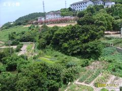 -普陀山佛顶山索道