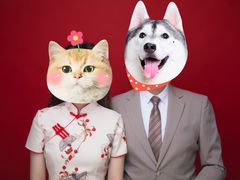 -bobo高端证件照工作室(三元桥店)