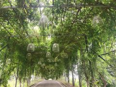 -武汉紫薇都市田园