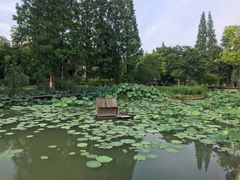 -乌村