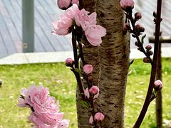 -龙美术馆(西岸馆)