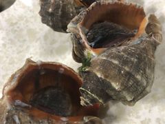 -亚龙湾8号(丁村万人海鲜广场店)