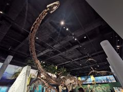 -国家自然博物馆