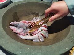 -滇色蒸汽石锅鱼(京华城店)