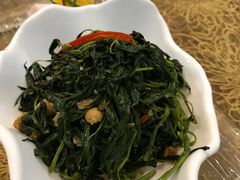 -欢乐海岸美食联盟