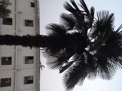 iphone_upload_pic-香港富荟上环酒店