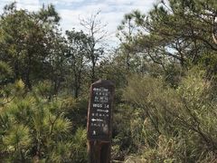 -皇鸽餐厅(五桂山分店)