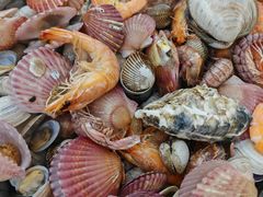 -庆山饭店·海鲜饺子家常菜(北戴河黑石路店)