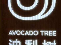-油梨树AVOCADO TREE(嘉里中心店)