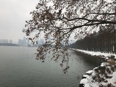 -必胜客(武汉欢乐谷店)