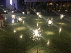 -映月湖中央公园