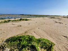 -北海金海湾红树林生态旅游区