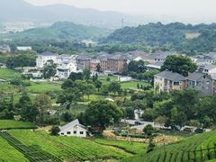 -龙坞茶村