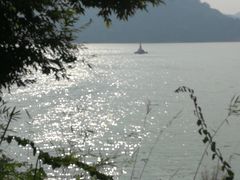 -广州市流溪河国家森林公园