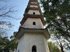 -江心屿景区