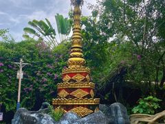 -瑞丽独树成林风景区