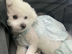 -爱侣宠医·鹦鹉专科·小型哺乳类·异宠专科(灵石路店)