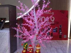 -SFC上影影城(港汇永华IMAX激光店)