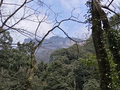 -青城山