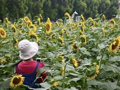 -广东花都香草世界旅游度假区