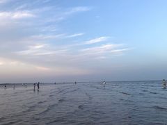 -南汇新城海滩