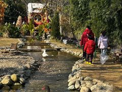 -HERRE·FARM 赫尔露营农场·团建聚会包场