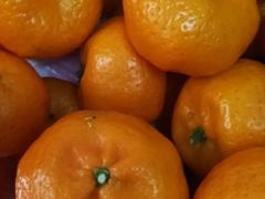 -百果园(金沙路店)