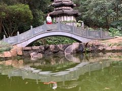 -深圳国际园林花卉博览园