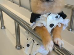 -怪兽屋·羊驼·猫咖·狗咖(俊华广场店)