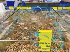 -三亚火车头万人海鲜广场