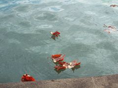 -上海交通大学(闵行校区)