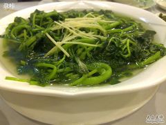 盐水西洋菜.23-金城大酒店-中餐厅(汾江中路店)