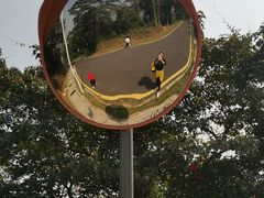 -黄埔油麻山森林公园