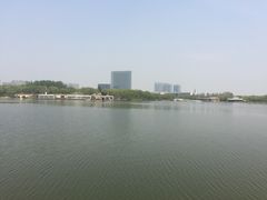 -大兴滨河森林公园