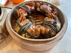 -杨氏青龙虾·羊蝎子(珠江路店)