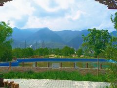 -白水寺森林公园