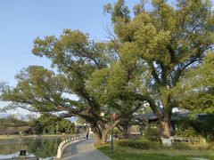 -江心屿景区