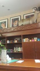 android_upload_pic-TWOFACE双面理发馆