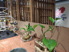 -膳糧·汕头肠粉·潮汕小吃(龙怡店)