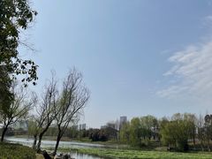 -洋湖国家湿地公园