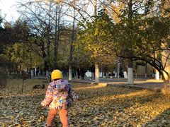 -辽宁大学(崇山校区)