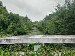 -昆山城市生态森林公园