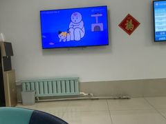 -北京观赏动物医院·24小时大型综合·猫专科·异宠专科