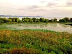 -上海市保健医疗中心