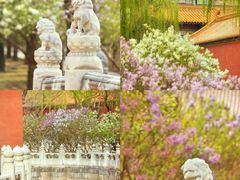 -故宫博物院(故宫)