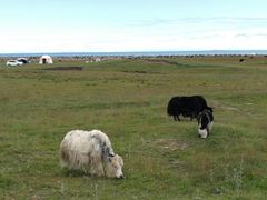 -青海湖国家重点风景名胜区