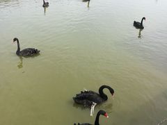 -无锡动物园·太湖欢乐园
