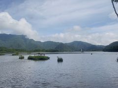 -大九湖